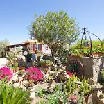 Villa Pedra Moro Alghero